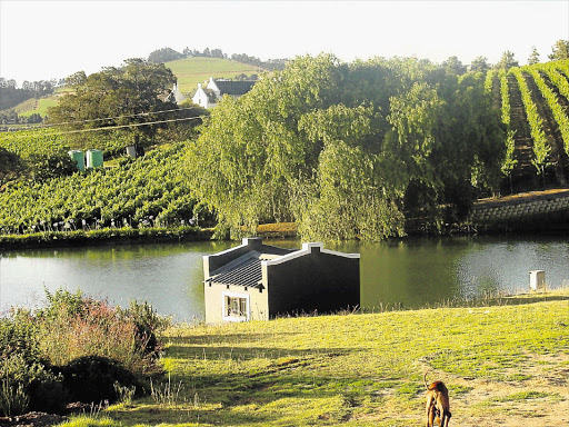 Aaldering Vineyard in Devon Valley, Stellenbosch