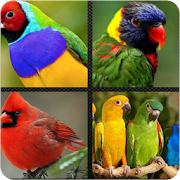 Colorful Birds Puzzle Games 2 Icon