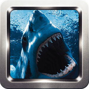 Shark Wallpapers apk