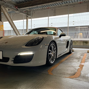 ボクスター 981MA123