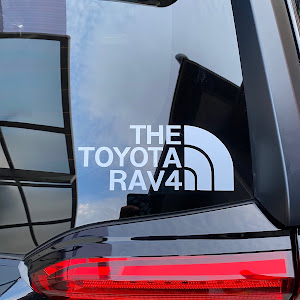 RAV4 MXAA54