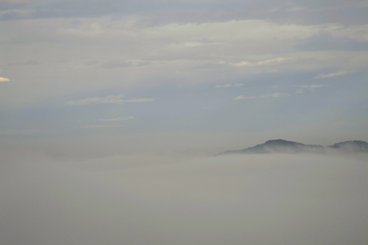 Un mare  di nebbia di bucefalo