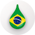 Drops: Learn Brazilian Portuguese language fast!25.31