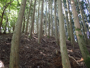 急登となる