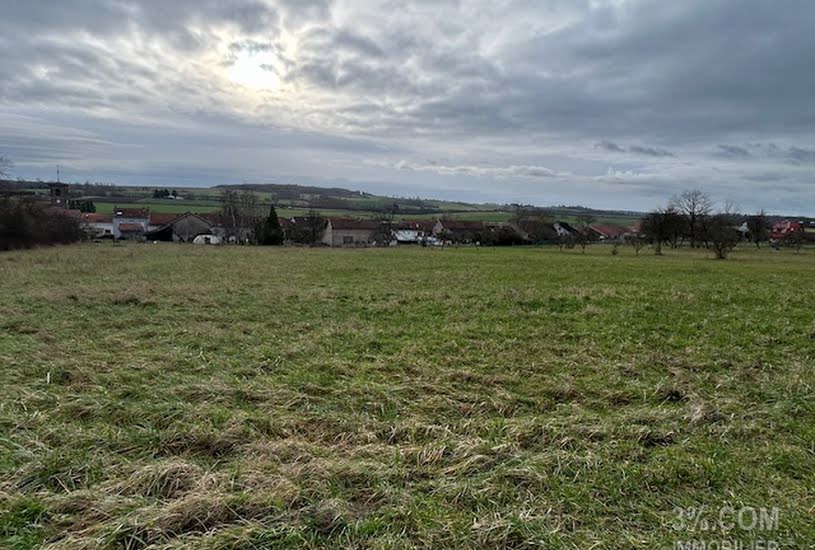  Vente Terrain à bâtir - 8 243m² à Lunéville (54300) 