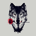 Wolf FullHD New Tab Wallpapers