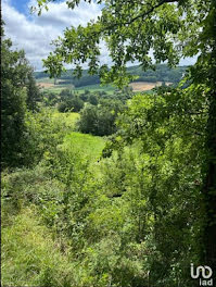 terrain à Lacour (82)