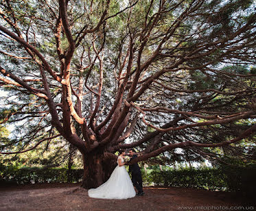 Fotografo di matrimoni Mila Elchaninova (milaphotos). Foto del 22 ottobre 2018