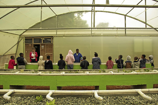 HOW IT'S DONE: Petrus Tsotetsi and Adoreé Louw, left, teach pupils at Laerskool Kempton Park about the importance of aquaponics and hydroponics.