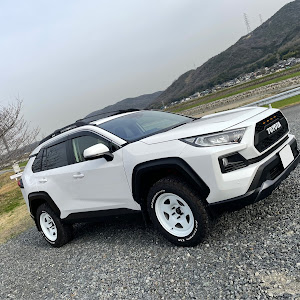 RAV4 MXAA54