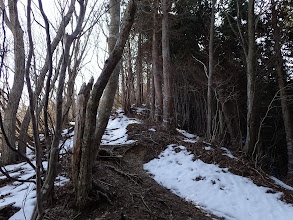 雪が残っている