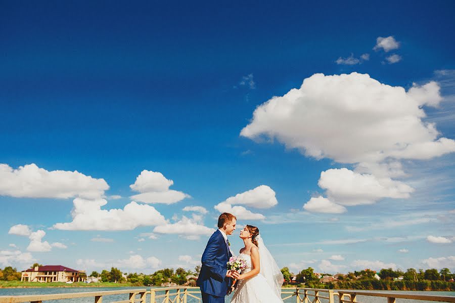 Wedding photographer Vladimir Ryabkov (stayer). Photo of 30 March 2014