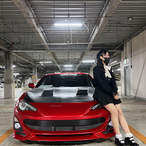 86 ZN6