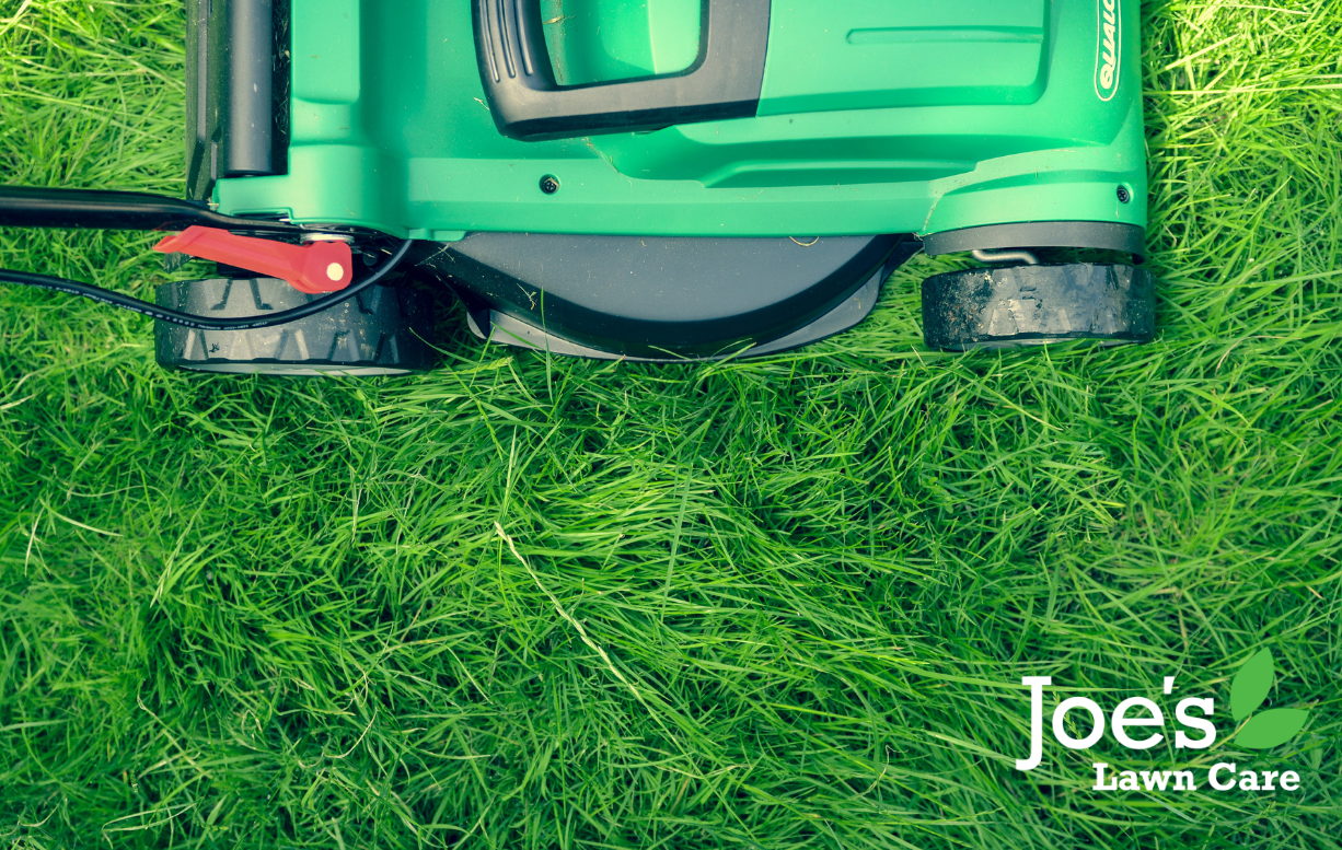 7 Reasons Why Mowing Your Slightly Wet Lawn Is A Terrible Idea