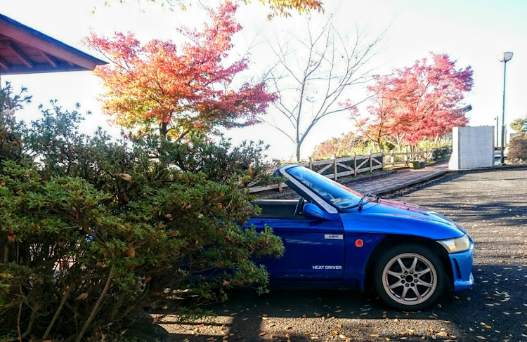 ビートの紅葉ドライブに関するカスタム事例の投稿画像2枚目