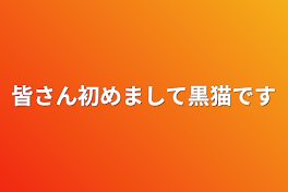 皆さん初めまして黒猫です