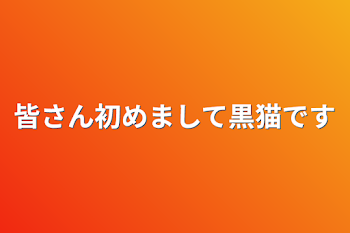 皆さん初めまして黒猫です