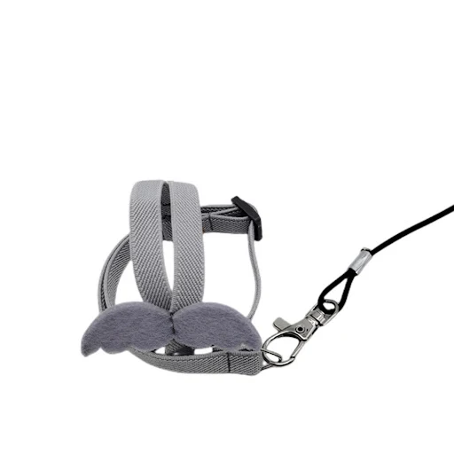 Parrot Bird Flying Traction Rope Bird Harness Leash Adjustable Ultra-light With Comfortable Handle Flying Traction Strap