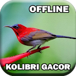 Cover Image of Download Kicau Kolibri Gacor lengkap 3.0 APK