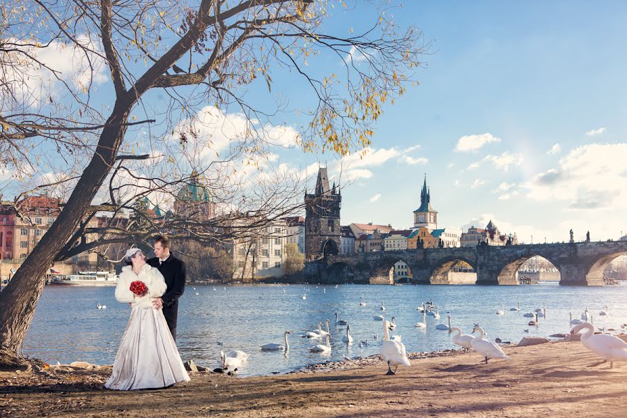 Hochzeitsfotograf Roman Lutkov (romanlutkov). Foto vom 30. Dezember 2013