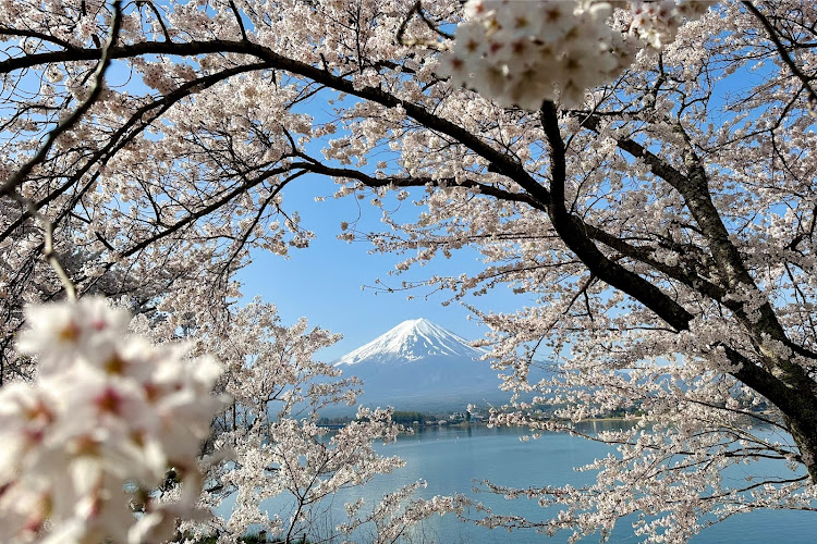 の投稿画像5枚目