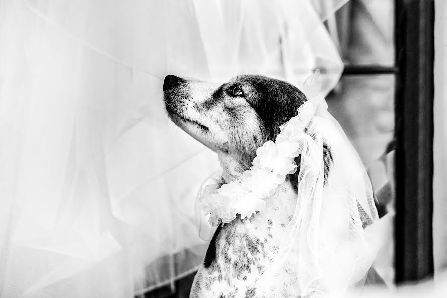 Fotógrafo de casamento Antonio Palermo (antoniopalermo). Foto de 4 de março 2019