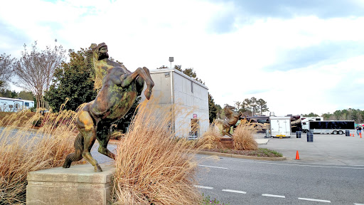 Prancing Horses 