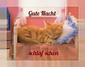 Gratis Gute Nacht Spruche Gute Nacht Gute Nacht Bilder Gute