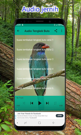 Masteran Tengkek Buto Offline