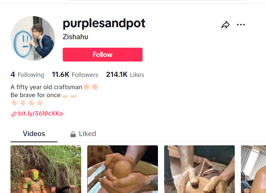 Screenshot of @purplesandpot TikTok profile page