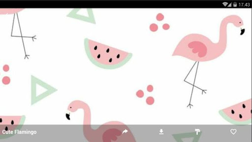 Cute Flamingo Wallpaper HD