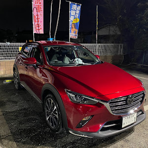 CX-3 DK8FW