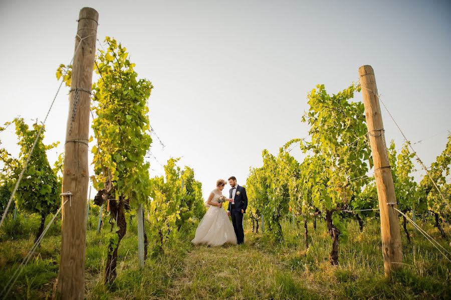 Fotógrafo de bodas Tiziana Nanni (tizianananni). Foto del 24 de noviembre 2016