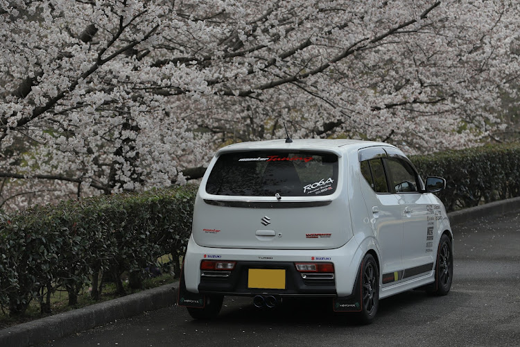 アルトワークスの桜シーズン開幕・サクラと愛車・Canon EF70ｰ200mm f/2.8L IS Ⅲ USM・連投失礼します🙏に関するカスタム事例の投稿画像6枚目