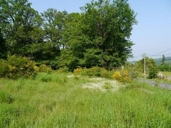 Vente terrain  3565 m² à Savigny-en-Sancerre (18240), 22 000 €