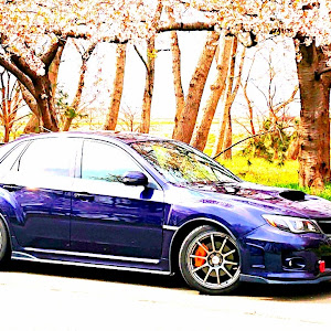 インプレッサ WRX STI GVF