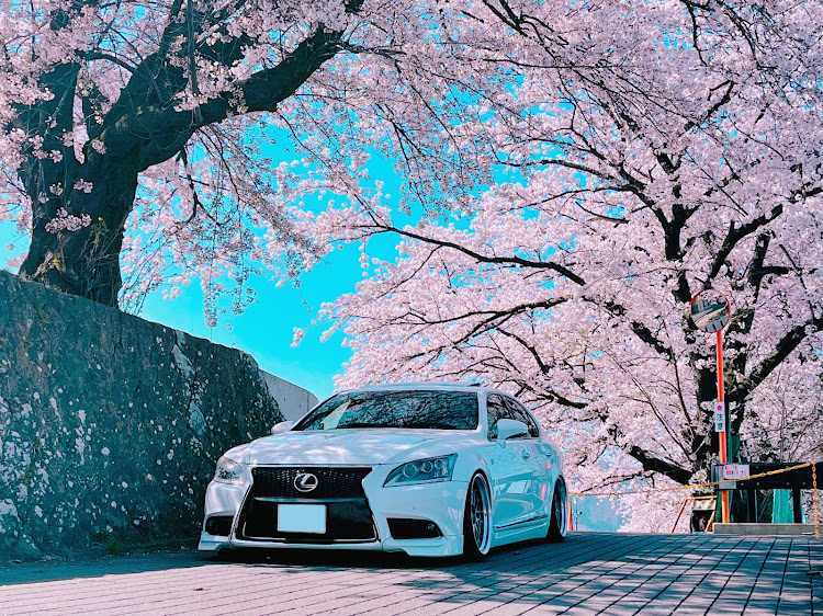 LSの低そうで低くない少し低い車・ドライブ・洗車に関するカスタム事例の投稿画像2枚目