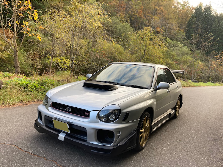 インプレッサ WRXの自分で撮ったベストショットTOP3・富士山・精進湖・桜・猫に関するカスタム事例の投稿画像3枚目
