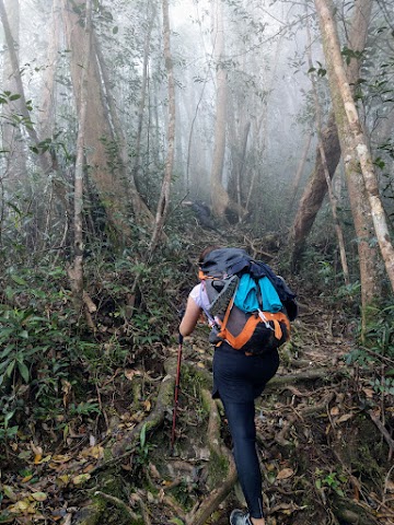 Mount Tahan Merapoh Route; Sungai Relau; misty hikes