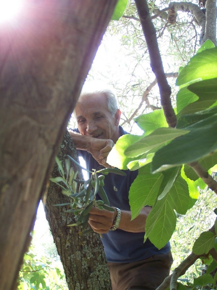 Papà Fiore di Viasli