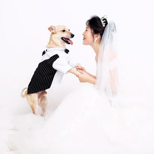 Title 4, Fashion Simple Pet Dog Suit Shirt, a comfortabl...