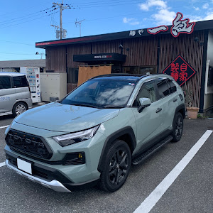 RAV4 AXAH54