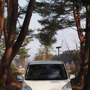 ステップワゴン RG1
