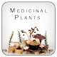 Download Medicinal Plants For PC Windows and Mac 1.0