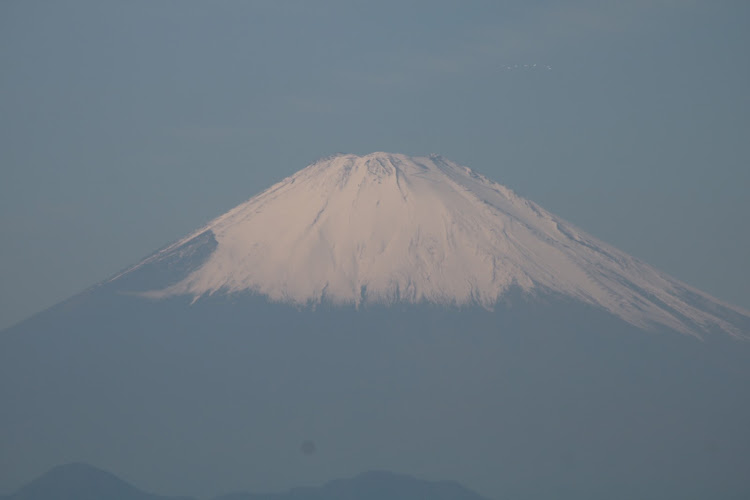 の投稿画像11枚目