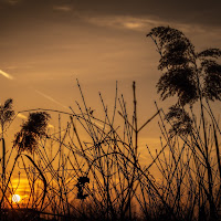 Tramonto.d'estate di 