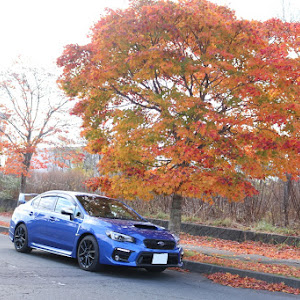 WRX S4 VAG