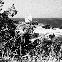 Vieste - la torre sul mare di 