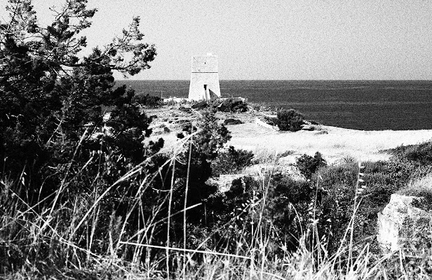 Vieste - la torre sul mare di sergio71