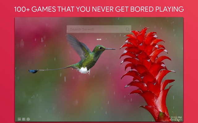 Hummingbird Wallpaper HD Custom New Tab